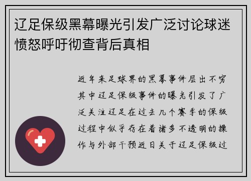 辽足保级黑幕曝光引发广泛讨论球迷愤怒呼吁彻查背后真相