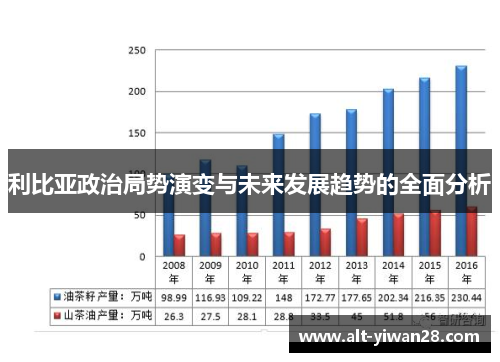 利比亚政治局势演变与未来发展趋势的全面分析