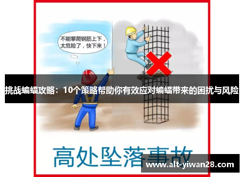 挑战蝙蝠攻略：10个策略帮助你有效应对蝙蝠带来的困扰与风险
