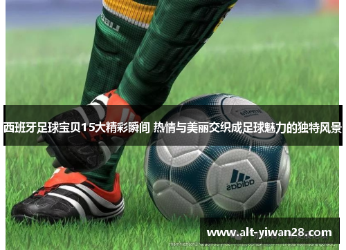 西班牙足球宝贝15大精彩瞬间 热情与美丽交织成足球魅力的独特风景