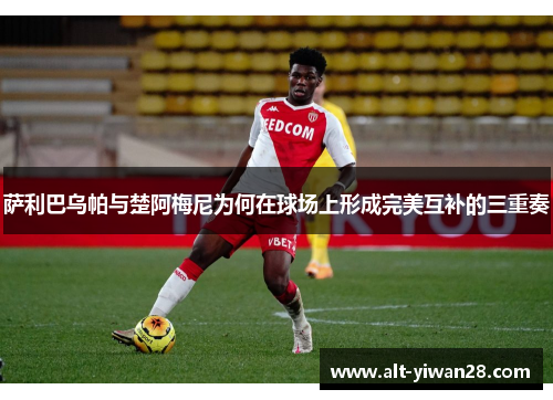 萨利巴乌帕与楚阿梅尼为何在球场上形成完美互补的三重奏