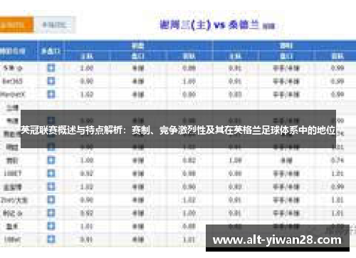英冠联赛概述与特点解析：赛制、竞争激烈性及其在英格兰足球体系中的地位